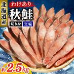 ふるさと納税 銚子市 【訳あり】定塩北海道産秋鮭切身 約2.5kg