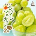 ふるさと納税 山梨市 【訳あり】 池田青果のシャインマスカット2房 1kg ふるさと納税