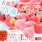 ふるさと納税 奈良市 【数量限定】古都華 の 冷凍いちご 500 g ×3袋
