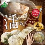 ふるさと納税 別海町 【先行受付】殻付きジャンボ活ホタテ 4kg (7枚〜12枚)鮮度抜群　北海道野付産 ホタテ貝柱
