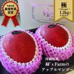 ふるさと納税 糸満市 【2026年発送】沖縄県マンゴーコンテスト最優秀賞 縁’sFarmのアップルマンゴー極 1.2kg