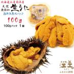 ふるさと納税 江差町 ★2025年分先行受付★江差前浜産 生うに 100g 海洋深層水パック(無添加・みょうばん不使用)