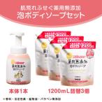 ふるさと納税 橿原市 肌荒れを防ぐ薬用無添加　泡ボディソープセット