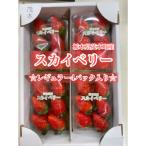 ふるさと納税 茂木町 【完熟スカイベリー】★鈴木ファームの朝摘み厳選『スカイベリー』4パック入り