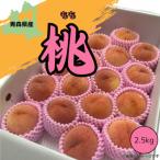 ふるさと納税 黒石市 本州最北端の桃 　約2.5kg【2026年8月中旬〜発送開始】【青森県産】