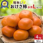 ふるさと納税 佐渡市 【先行予約】おけさ柿赤秀Lサイズ18玉 種なし