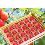 ふるさと納税 山形県 【2026年産先行予約】採れたて! 5月の温室さくらんぼ「佐藤錦」 秀L 24粒化粧箱