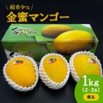 ふるさと納税 今帰仁村 【先行受付・2026年7月から順次発送・優品】超希少な金蜜マンゴー1kg(2〜3玉)