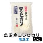 ふるさと納税 新潟県 《無洗米》お米マイスター厳選!令和6年産魚沼産コシヒカリ 5kg