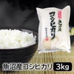 ふるさと納税 新潟県 お米マイスター厳選!令和6年産魚沼産コシヒカリ 精米3kg