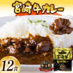 ショッピングさとふる ふるさと納税 日向市 宮崎牛カレー(160g×12食)