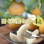 ふるさと納税 智頭町 【訳あり】鳥取県産旬の梨セット 4kg