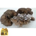 舞茸 600g×2箱