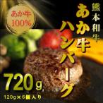 ふるさと納税 熊本市 あか牛100%ハンバーグ 120g×6個(熊本市)