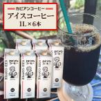 ふるさと納税 ひたちなか市 カピアンコーヒー アイスコーヒー1L×6本 深いコクと香り