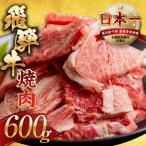 ふるさと納税 本巣市 【訳あり】飛騨牛 焼肉 切り落とし 600g
