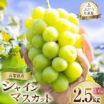 ふるさと納税 笛吹市 朝採れシャインマスカット 2.5kg (3〜6房) 山梨県笛吹市【令和7年産 先行受付】数量限定
