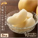 ふるさと納税 大山町 【2025年発送】鳥取県産和ナシ 新高梨5kg