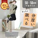 �ӂ邳�Ɣ[�� �ٗюs �ۂ񂿂�� �g�����|�����N�b�V���� (���C�g�O���[) 50cm�~50cm ������ �����p