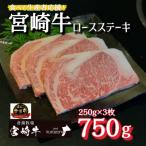ふるさと納税 小林市 畜産農家応援!『宮崎牛』ロースステーキ750g(DAS041)
