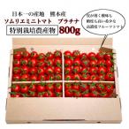 fu.... налог шар название город [ специальный культивирование сельское хозяйство производство предмет ][ сомелье мини помидоры платина ] 800g