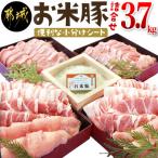 ふるさと納税 都城市 お米豚3.7kgセット