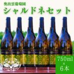 シャルドネ 白ワイン 750ml×6本セット