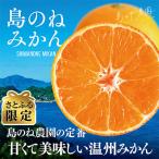 先行受付 島のね農園ブランド みかん 3kg