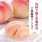 ふるさと納税 津山市 【きよとうファーム】珍しい品種の桃 もも好きのあなたに 旬採り桃 ご家庭用/5-7玉(岡山県産)