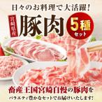 ふるさと納税 宮崎市 宮崎県産豚肉セット 4.2kg(宮崎市)