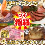 ふるさと納税 石狩市 【さとふる限定】【道産牛の牛肉づく…