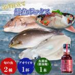 産旬の魚2種&amp;アオリイカ300gと魚醤油麹150mlセット