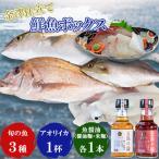 旬の魚3種&アオリイカ300gと魚醤油麹2種セット
