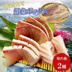旬の魚 2種セット