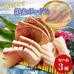 旬の魚 3種セット