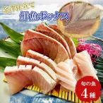 旬の魚 4種セット