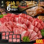 ふるさと納税 都城市 宮崎牛6種盛り焼肉食べ比べ【600g】(都城市)
