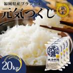 令和7年産 産米 元気つくし 合計20kg