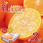 ふるさと納税 松山市 紅まどんな 青秀以上  約3kg JAえひめ中央