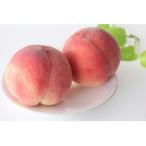 ふるさと納税 中野市 【2026年発送】長野県北信州の桃 3kg(8〜12玉) 品種おまかせ　贈答にもおすすめ