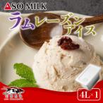 阿部牧場 阿蘇ミルクアイス ラムレーズン