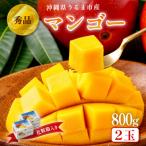 ふるさと納税 うるま市 沖縄県うるま市産 完熟マンゴー 秀品 800g【2025年発送】