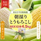 ふるさと納税 旭川市 2025年8月〜発送あさひやま動物園白くまコーン5本ライオンコーン5本計10本4.5kg_02157