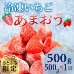 福岡スイーツ自然の産冷凍あまおう 500g×1袋