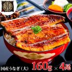 先行受付 うなぎ蒲焼 160g×4尾