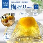 大河原の梅と清水のゼリー うめ果りり 4個入り