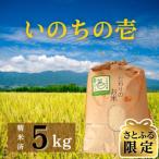 いのちの壱 精米 5kg