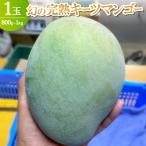 ふるさと納税 今帰仁村 【2025年8月〜9月頃の発送】幻の完熟キーツマンゴー1玉(800g〜1.0kg)