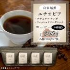 自家焙煎 エチオピア ナチュラルコンガ&amp;ウォッシュド