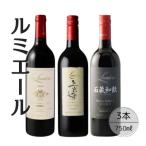 ふるさと納税 笛吹市 ルミエールおすすめ赤ワイン3本セット 167-128